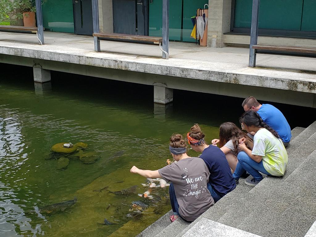 SNDespain1's tweet photo. What a day the Educate  Global crew had sightseeing in Mioali county, Taiwan. We went to the beach, toured a tea plantation, made our own tea, visited a (gigantic) happy Budha, fed koi fish during lunch, visited a night market...AND tried stinky tofu! Some loved it... https://t.co/3RYznBqwd6