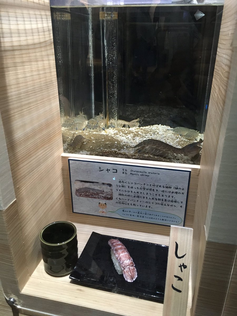 感想まとめ ニンジャスレイヤープラス ニンジャスレイヤー3部作アーカイブ ネオサイタマ イン フレイム4 ダークダスク ダーカードーン 月初のニンジャスレイヤープラスの紹介 N Files ネオサイタマ イン フレイム4 ダークダスク ダーカードーン 5