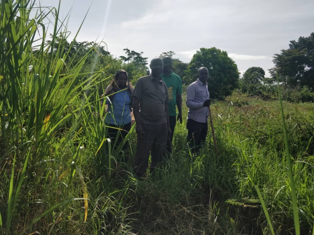 rotarymgreen's tweet photo. President of the Rotary Club of Jinja, Dr. Susan Kikira led a team of Rotarians, Ntembe Waguma Yasin, the Mission Green Officer, Edgar Rujumba, Director Projects, and Rtn.Justine Ojambo, the tree planting expert to the site were the club is going to plant trees https://t.co/CG7SG5Es3Y