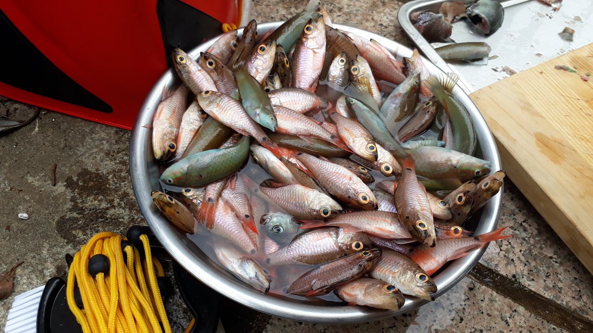 알고옵 오늘수확물~~