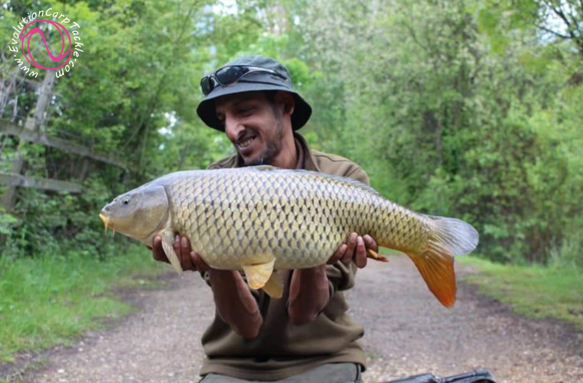 EvoCarpTackle's tweet photo. A few hours for consultant Sid Dubey on his local water, which resulted in 4 carp. All caught using last elements products, including the Evo rig kickers. 2 of the commons were caught using our pink corn Stacks. All landed, weighed and released in the NSR

https://t.co/pJQKNvDNOj https://t.co/Dju90tDhDY