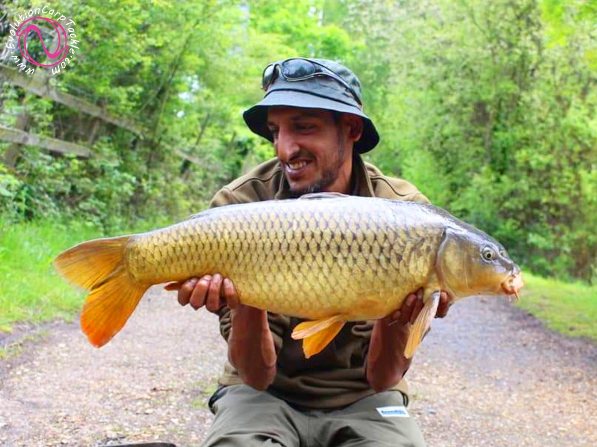 A few hours for consultant Sid Dubey on his local water, which resulted in 4 carp. All caught using last elements products, including the Evo rig kickers. 2 of the commons were caught using our pink corn Stacks. All landed, weighed and released in the NSR

Evolutioncarptackle.com