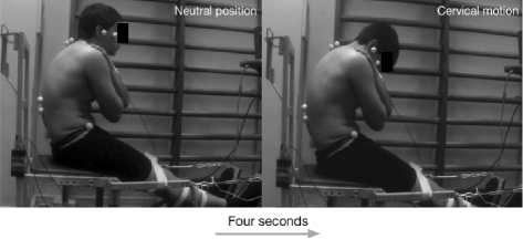 aicuesta's tweet photo. asi como la conectividad entre flexion de cuello y la flexion dorsal del pie, uno de los aspectos que mas repetimos en clinica. Ultrasound assessment of fascial connectivity  https://t.co/LI4K8ZZZ6t #bmcssmr https://t.co/X7LajF4RkV