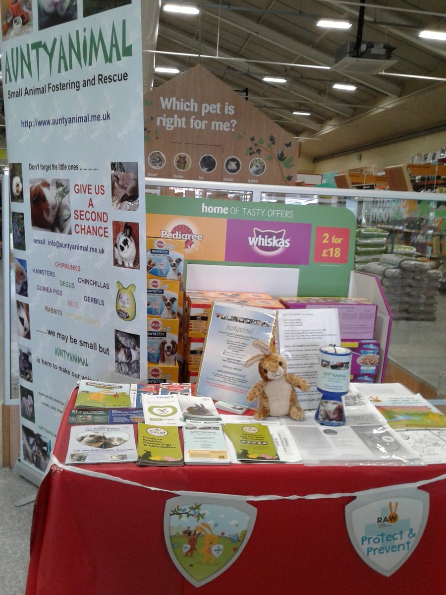 auntyanimal's tweet photo. Thanks everyone for amazing support yesterday in @PetsatHome Harlow🙌 especially customers donating dinners, food, pet bowls, play tunnels etc, and those who stopped to chat or have their ears rubbed🐶😀all helping to #fillemptytummies In again today,come say hi, we dont bite! https://t.co/1dLOKZAyT3