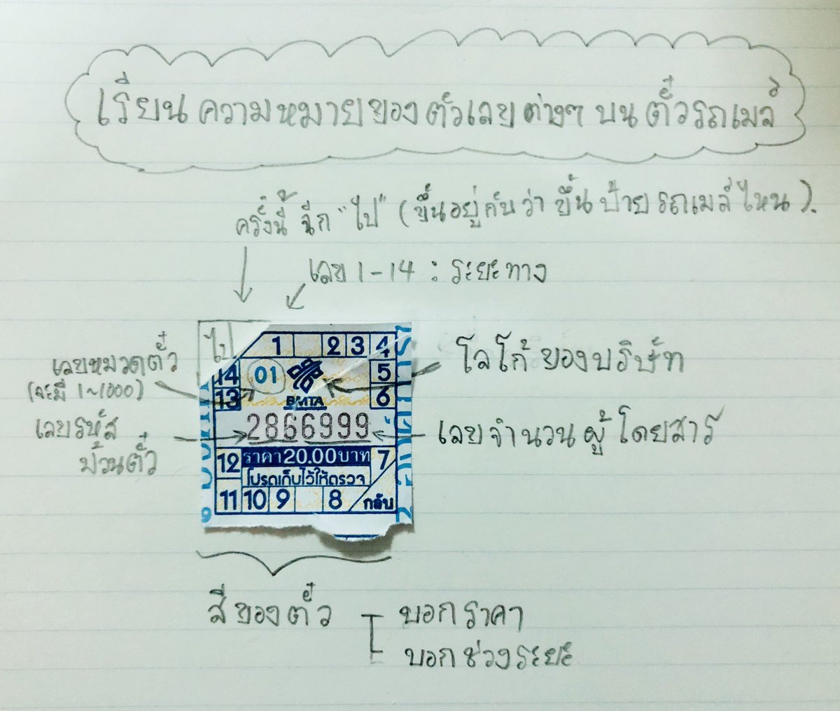 🇯🇵 Ken 🇹🇭 มะม่วง🥭まむあん tweet media