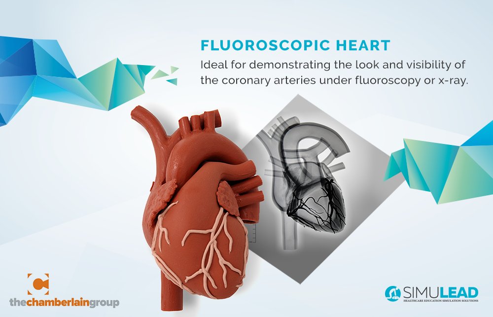 Simulead_MEA's tweet photo. The all-new fluoroscopic Heart is based on a normal-sized adult heart, ideal for demonstrating to your training team the look and visibility of the coronary arteries under fluoroscopy or x-ray.
#Simulead #simulation #TheChamberlainGroup #FluoroscopicHeart https://t.co/CYMcOQQ9Xp