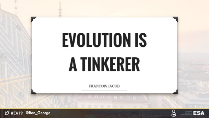 Ron_George's tweet image. Is PIEB a revolution or simply an evolution of labour analgesia? At #SOAPAM2018 someone asked if we had reached the ED95 of labour analgesia #EA19 @euroanaesthesia  • not just yet 😉

#tweetorial #MedTwitter #medthread