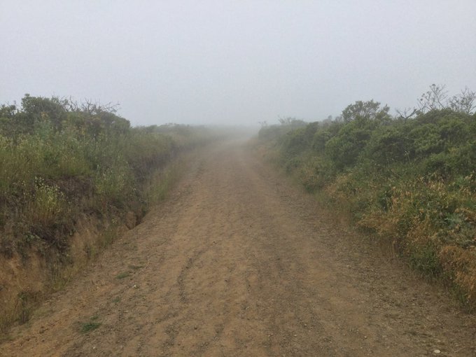 ☁️⛰☁️ Summer is coming. 10+ miles of #SFRC #trailrun this morning under and through thick #fog. Miwok<a href="/tag/sfrc"class="tags">#SFRC</a><a href="/tag/trailrun"class="tags">#trailrun</a><a href="/tag/fog"class="tags"><span>#fog</span></a>