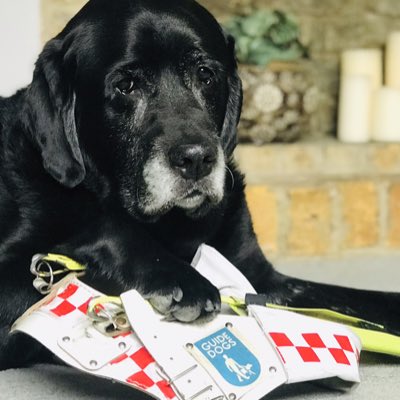 Usher Chic tweet media