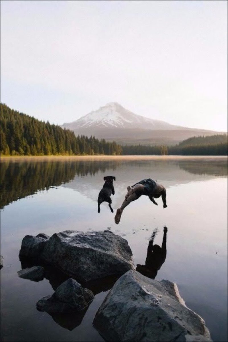 honky_tonk's tweet image. I feel like... playing with you by destiny.

運命により君と共に遊ぶ・・気がするなぁ。
#destiny #運命 #companion #仲間
RP @AvellarPaulo