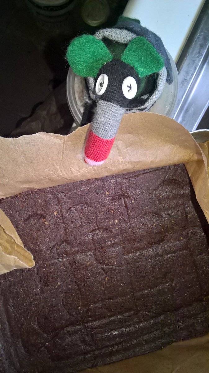 BenjiVaark's tweet photo. I'm meeting up with some fellow #vaark types tomorrow, so I'm busy making snacks.  The chocolate layer is hard to squish, so I have kindly allowed the human to assist me. https://t.co/4JN3Z31gD9