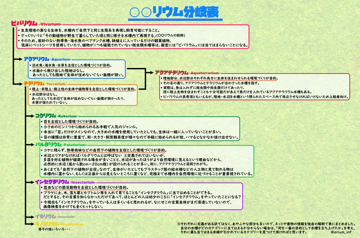 リウム情報アカウント Arium Inf توییتر