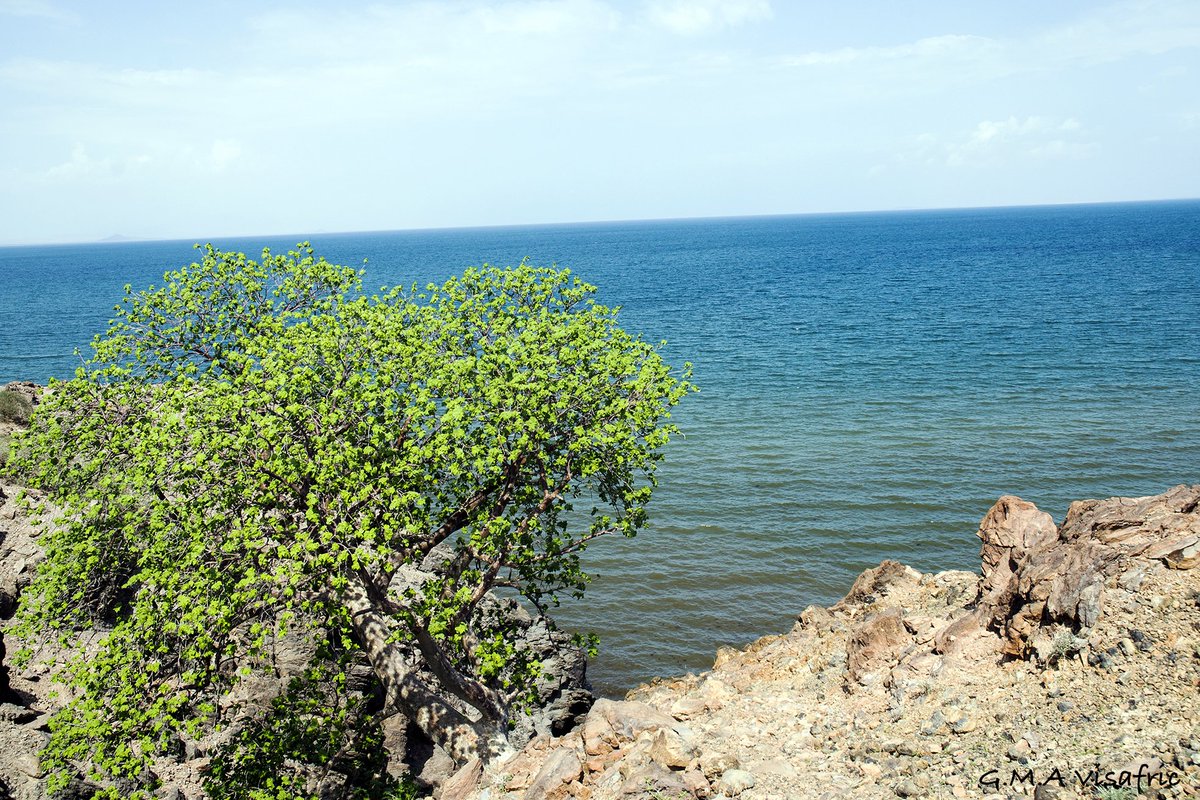  Eritrea  Red Sea Coast 