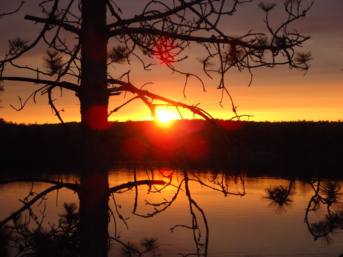 FalconsLairR's tweet photo. Happy #sunsetsunday and happy June!! 
.
.
Photo taken by Glenn last night
#Canada #northernontario #vacation #vacationmode #sunset https://t.co/leynuxBaPX