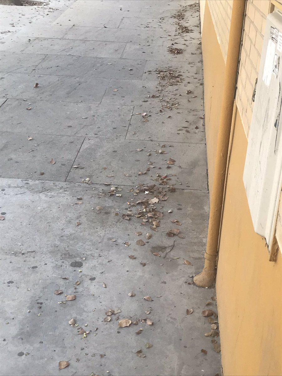 FCardoso1963's tweet photo. Hoy en calle binefar desde bien temprano, la sopladora y aspiradora limpiando la calle y calles continuas ,sin embargo Huerta del Águila sigue siendo invisible cara a lipasam https://t.co/xhEAF1fMVH