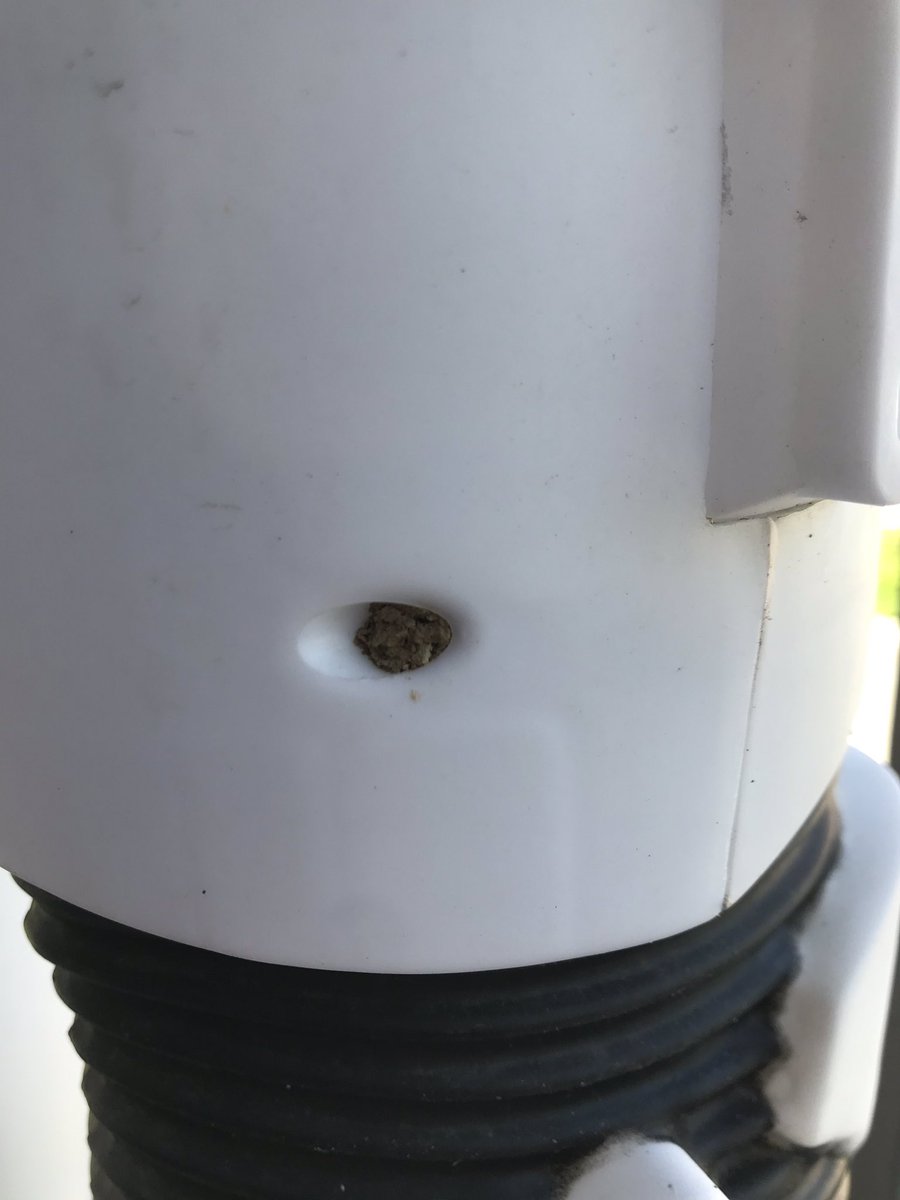 adrian_zi's tweet photo. Unser #Wildbienenhotel hat Hochbetrieb und ist komplett ausgebucht. Kein Problem für die Wildbienen! Sie erweitern selbständig auf den Stormtrooper. 😂 #wildbieneundpartner https://t.co/dFvDDkTlQS