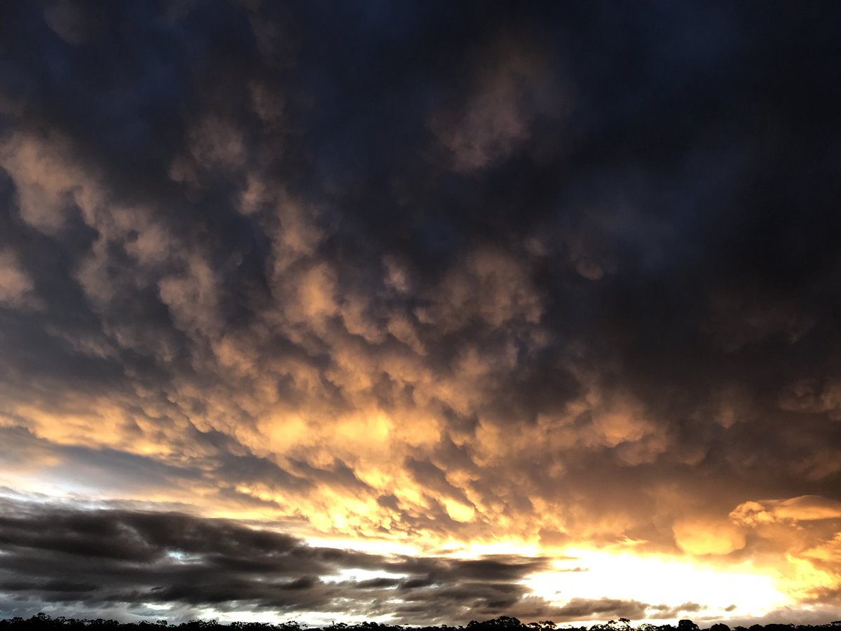 a_lynley's tweet photo. Sunset near Maryborough vic tonight
@EarthandClouds @StormHour https://t.co/8lpLoVIcTl