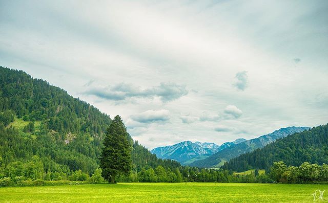 Very green landscape .
.
.
.
#YourShotPhotographer #earthpix #moody_tones #macro_nature_spirit  #nature_perfection #nb_nature_brilliance #awesome_earthpix #fingerprintofgod #lensbible #createexplore #exploretocreate 
#landscape_captures  #landscape_lover… bit.ly/2JTXlYa