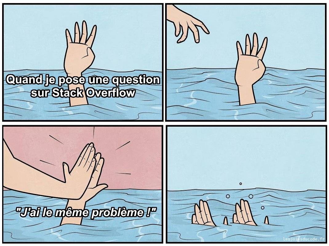 lesjoiesducode's tweet image. L'histoire de ma vie : lesjoiesducode.fr/lhistoire-de-m… #lesjoiesducode