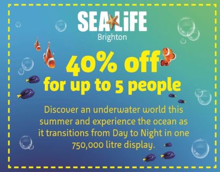 brighton_line's tweet image. Day 2 #dealoftheday  - learn about the ocean, sealife creatures and discover the ocean by day and night @SEALIFEBrighton  40% off for up to 5 people @TourismBandH @Brillbrighton  @TLRailUK @SouthernRailUK  @Love_Brighton  #thankyou #BrightonMainline #VisitBrighton