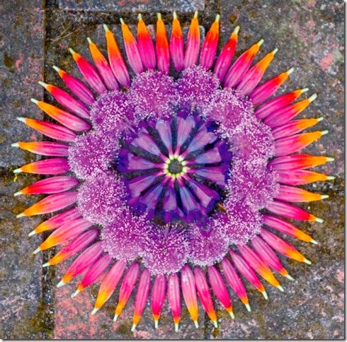 winewomen_style's tweet image. As you age, embrace each new change with grace and gratitude that you've earned the privilege to experience it. For it's these changes that add a depth and authenticity to your beauty that can never be bought.
#StyleRevolution #IAmBeautiful #IABFoundation #ShopStyleFinder