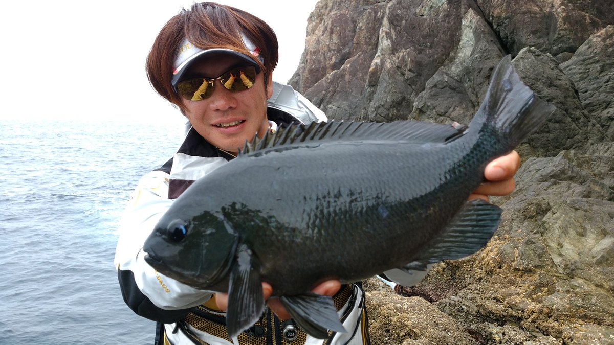 釣りビジョン 明日より7日間 連続 23時からは 梅雨 の磯テク 特集 お楽しみに 鈴木斉 田中貴 山本典史 城本尚史 ハンター塩津 山本太郎 釣りビジョン 釣り フィッシング 磯釣り ソルトルアー Fishing T Co D23yi43tp4