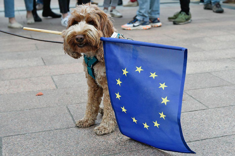 Elo_Forum's tweet photo. Europawahl | Wer rechts wählt, muss nicht ungebildet sein https://t.co/pAwv6QXz9j https://t.co/UVtL6eJz68