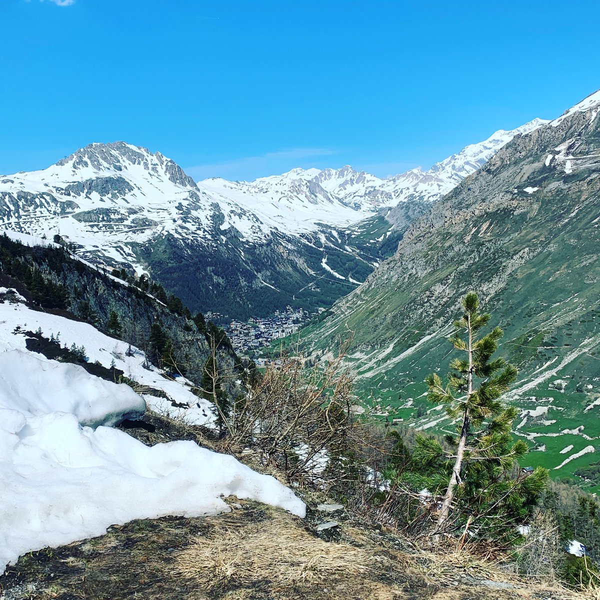 Europe Transfer tweet media