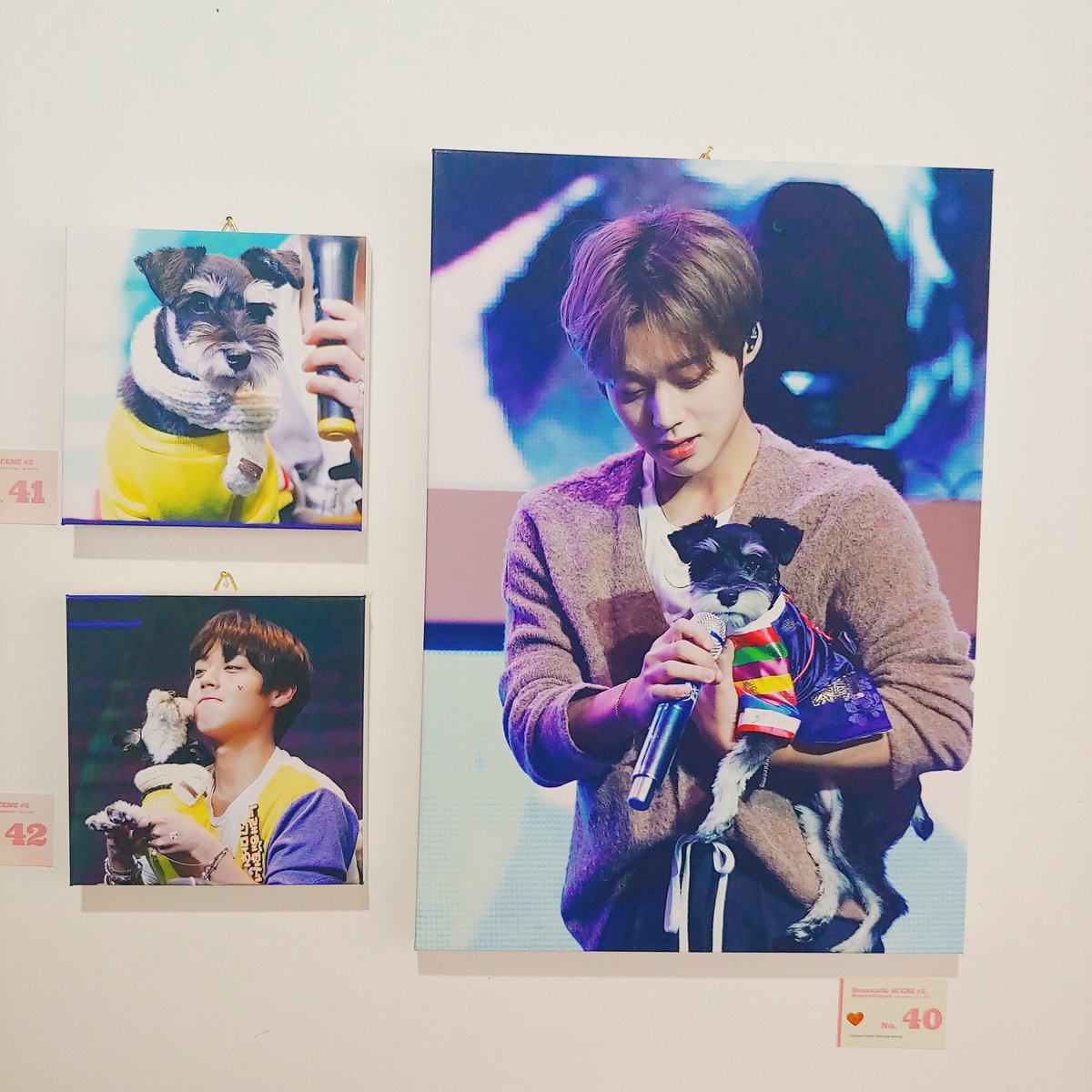 qqqq0529_'s tweet photo. 갤러리 MHK / ( @romanticspot_jh )
삼청동 구경하며 도착한 전시회 😊 지훈이 사진 보면서 힐링 💕 지후니 전시회는 언제나 좋아💙
#로맨틱씬 #romantic_scene https://t.co/59b7pt5FUm