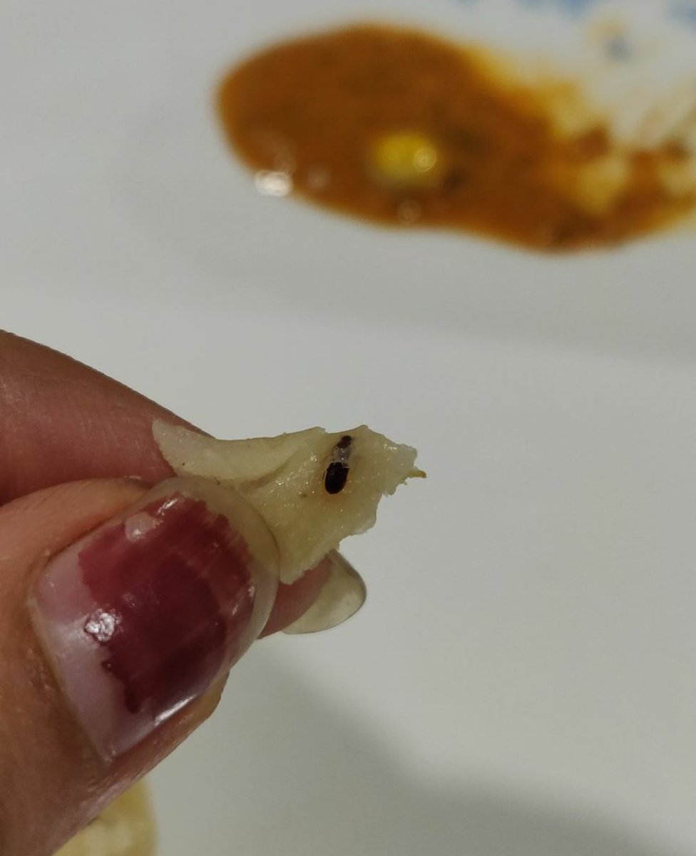 rahil24jain's tweet image. Today I ordered food for myself using Zomato app and half way through my lunch, I saw that that there are insects in my food.When contacted Zomato, I was told that we have added 120 to your credits IMAGINE
@ZomatoIN  shame on you guys.
#insectsinfood