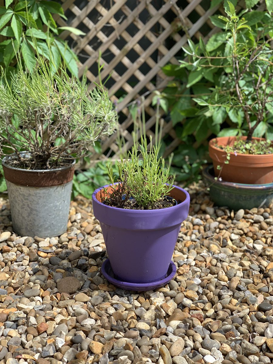 FandTPaint's tweet photo. This flowerpot had one quick coat of Pure Matt #lavenderfields last summer and has been outside all year! Even we are surprised it still looks this good! #durablepaint #decorateyourgarden https://t.co/kw2HMsMHmT