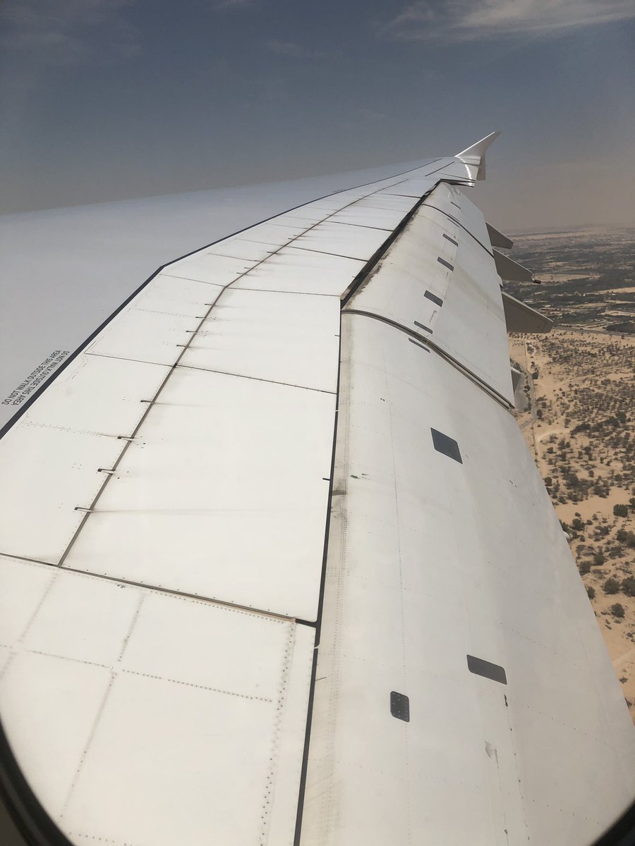 Bundogs's tweet photo. Let the adventures begin #dubai #escapingwinter #emirates https://t.co/2x3dHePHj8