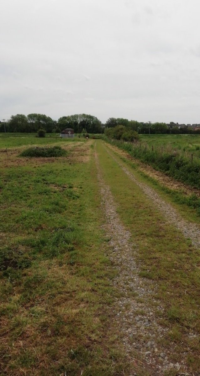 Got chased by cows yesterday whilst walking. The 3rd photo I think u can just about see them but we tried to avoid them as best as we could, and go a different direction but they followed and chased us.  I'll never go near a cow again. But it'll be a great story to share one day