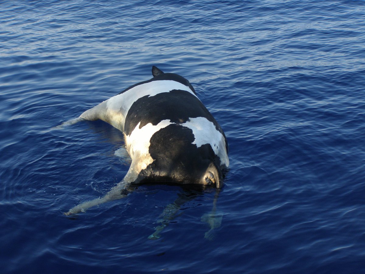 Story of Lazarus. 
》Showing compassion to ourselves. 
》Showed Compassion as he weeps. Angry and moved at situation.
》Gods heart of compassion is taking root of the situation but asks us to do and be part of solution.

#Sunday #Church #ampthill <a href="/AmpthillBaptist/">Ampthill Baptist</a>