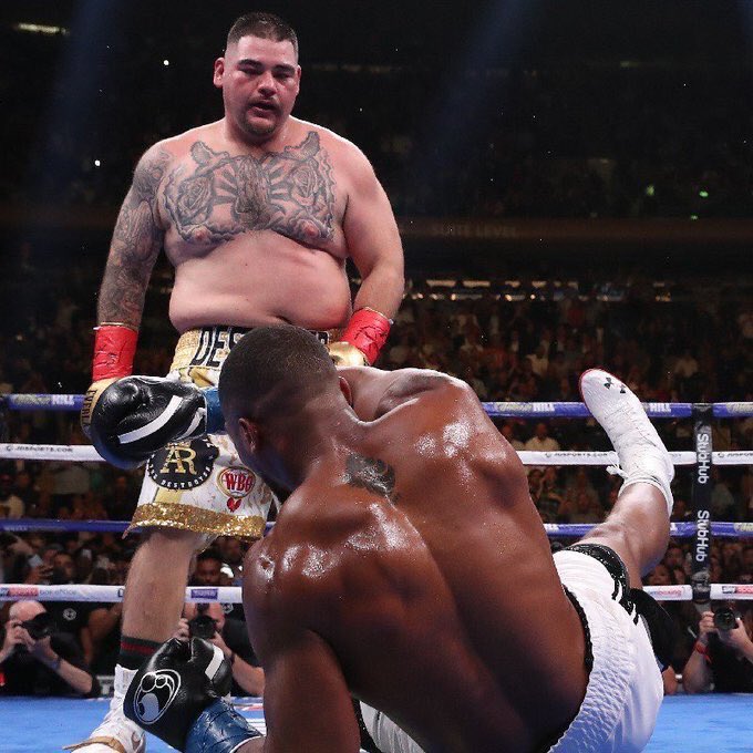 kinginbets's tweet photo. 🥊 El boxeo es el mejor deorte del mundo por estas cosas. 😍
WHAT. A. NIGHT #BOXINGPORN 🤤 https://t.co/ZAaRGIgvmQ
