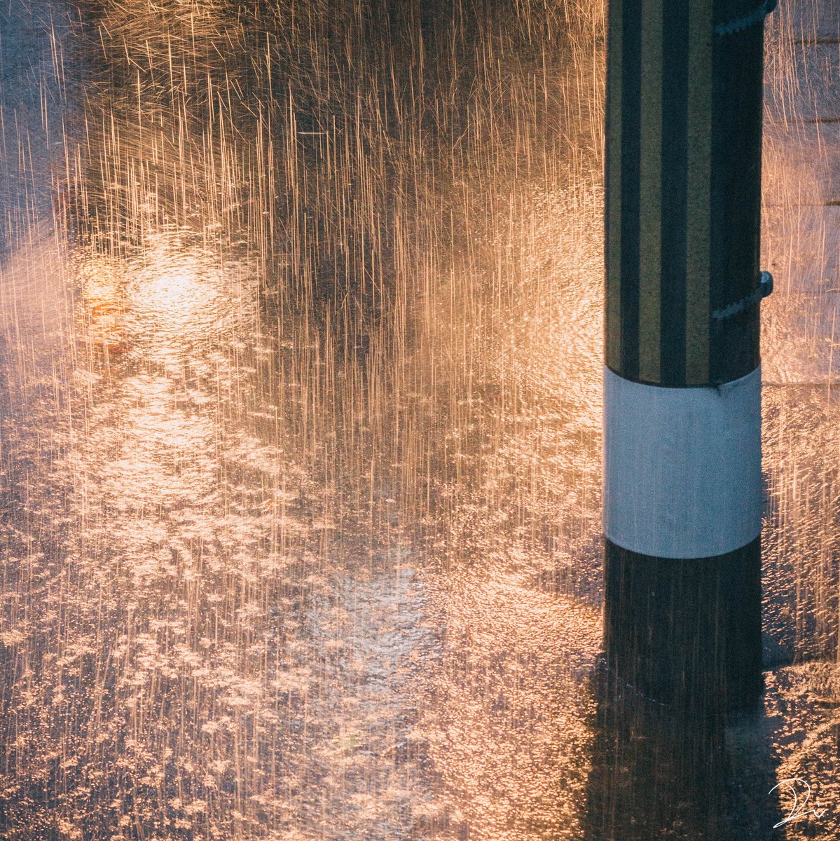 うさだぬ 京都写真 かつて撮った雨夜景スナップがアグレッシブに攻めてて中々凄かった 昔の自分よく撮ったなぁと感心するくらいの攻め具合でエモい うさだぬ 京都写真 かつて撮った雨夜景スナップがアグレッシブに攻めてて中々凄かった 昔の自分よく撮ったなぁと感心するくらいの攻め具合でエモい