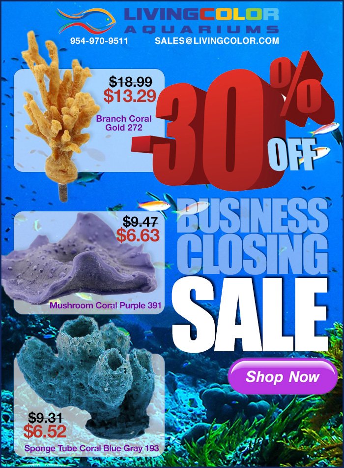 HOT SUMMER 🌞🌞 Deep Discounts ALL Coral - mailchi.mp/b95d812f876a/h…