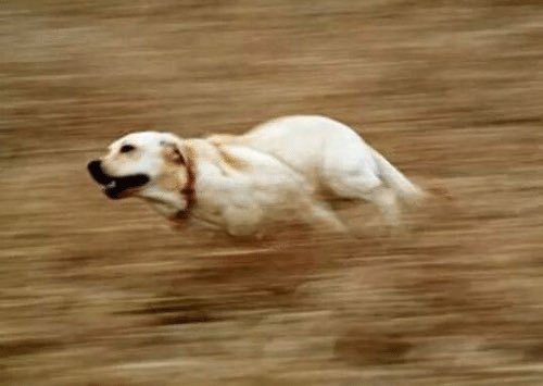 itzkay_official's tweet image. Am the only who follow back without limits and with speed. #TeamIFollowBack #followbackking