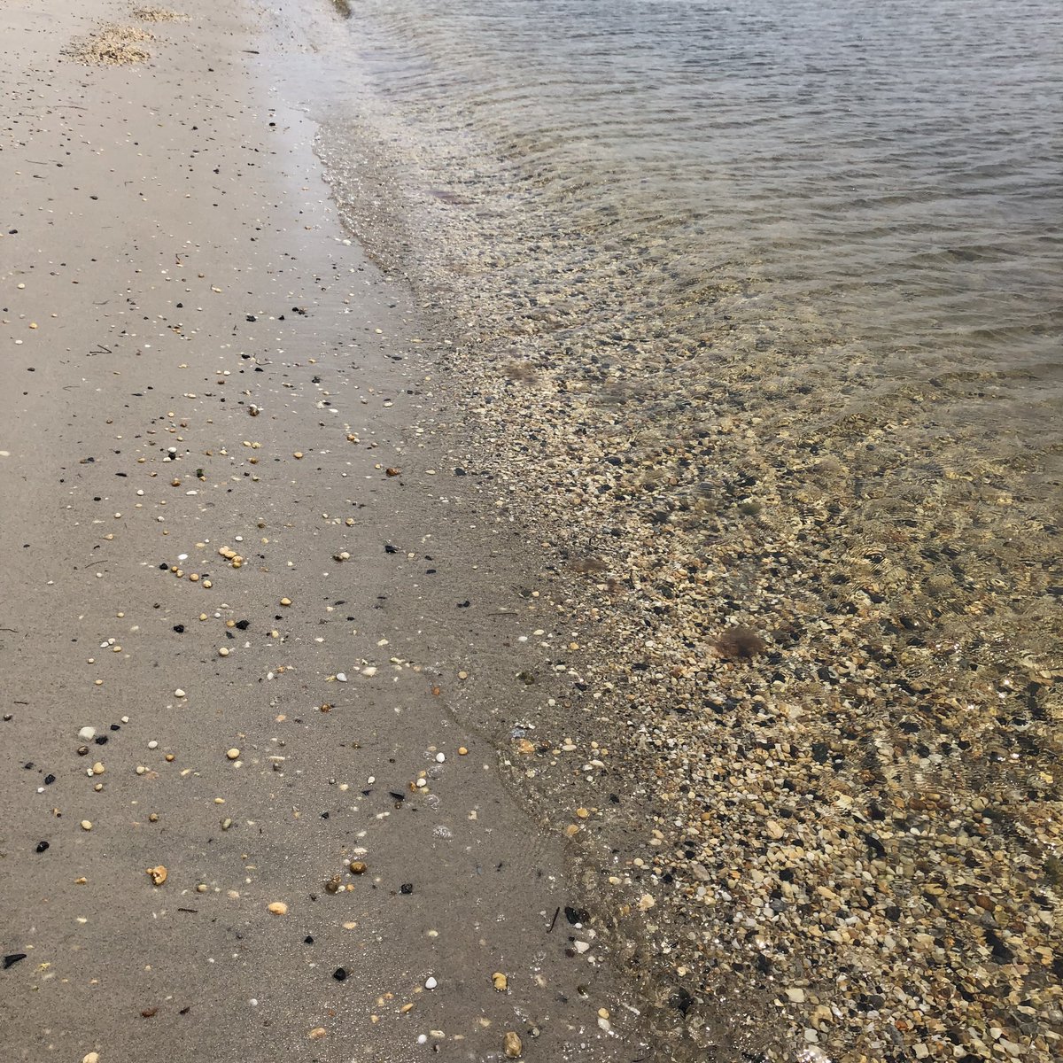 ReelNJShoreCris's tweet photo. Well this was a great success #freedom #disabilityawareness #crippledproblems #beach #JerseyShore #SaltLife https://t.co/CbtFRc5pm0