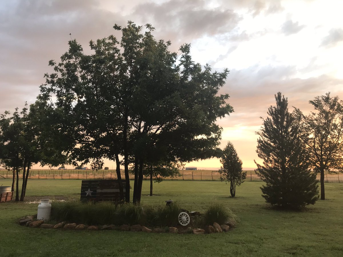 BeefNUT54's tweet image. Beautiful Sunday morning. #lotsofrain #SundayMotivation