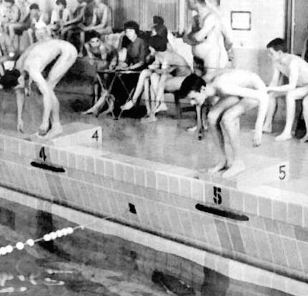 Vintage Male Swimmers Nude.