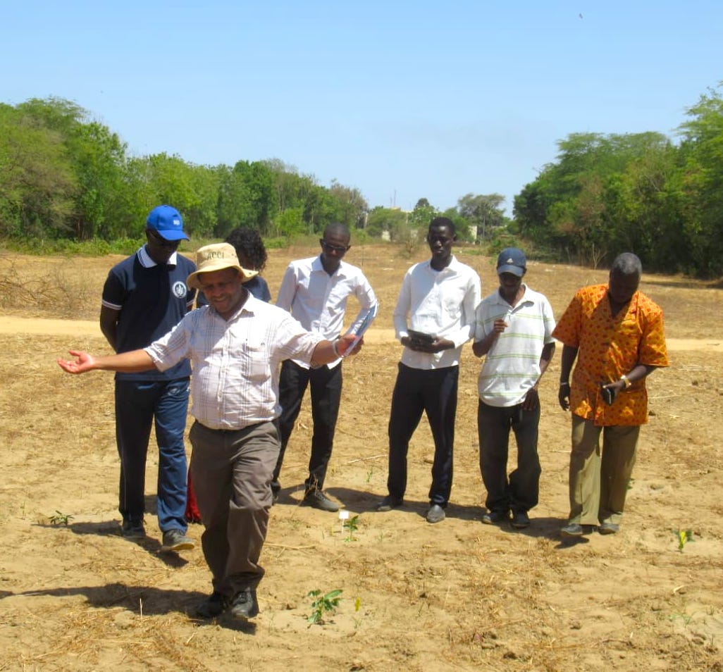 AfricanCrop's tweet photo. Our deputy director Prof Hussein Shimelis went to Senegal recently to share his expertise in mutation breeding with staff at the University of Cheikh Anta Diop (UCAD).
The focus was #mutationbreeding in #cowpea & his mission was supported by IAEA. #plantbreeding @iaeaorg https://t.co/CGXYURFq2X