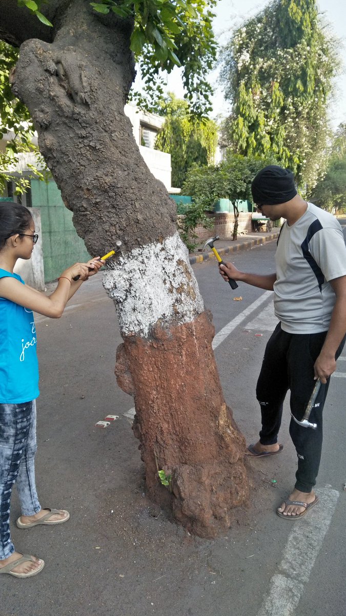 AgrawalPritam1's tweet photo. #HeyHi Today's #SaveTheTrees activity Collection..
#TreeSavers are trying best to save Trees of Ahmedabad..  
Join us to save more trees.
@vnehra @MadhishParikh @AmitHPanchal @aditiraval https://t.co/tjyuBO2dd5