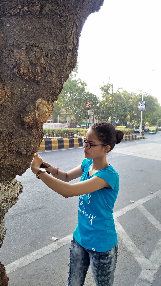 AgrawalPritam1's tweet photo. #HeyHi Today's #SaveTheTrees activity Collection..
#TreeSavers are trying best to save Trees of Ahmedabad..  
Join us to save more trees.
@vnehra @MadhishParikh @AmitHPanchal @aditiraval https://t.co/tjyuBO2dd5