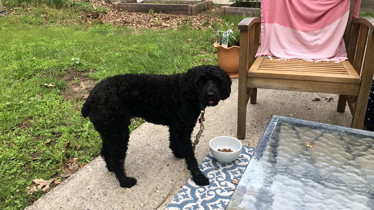 CarsonSieving's tweet photo. Breakfast on the patio. #FtMadison https://t.co/exOOFxojXr