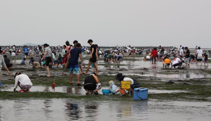 富津海岸の潮干狩り22 マテ貝の採り方 潮見表や開催日 時間なども まるぴた チャンネル