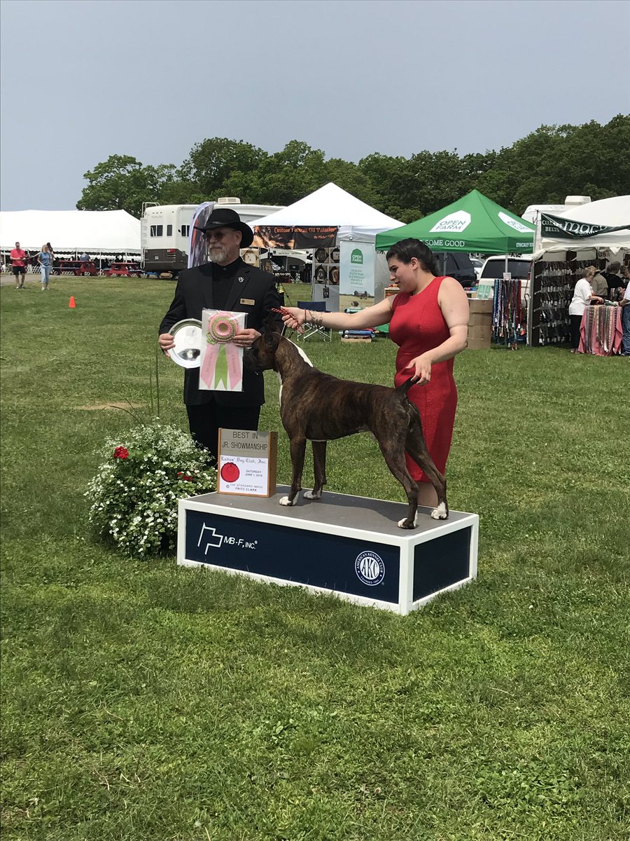 LedyardAgriSci's tweet photo. Congrats to Salena for winning the State Small Animal Proficiency Award. Keep up the great work! #ledyardffa https://t.co/QyAavlpkPb