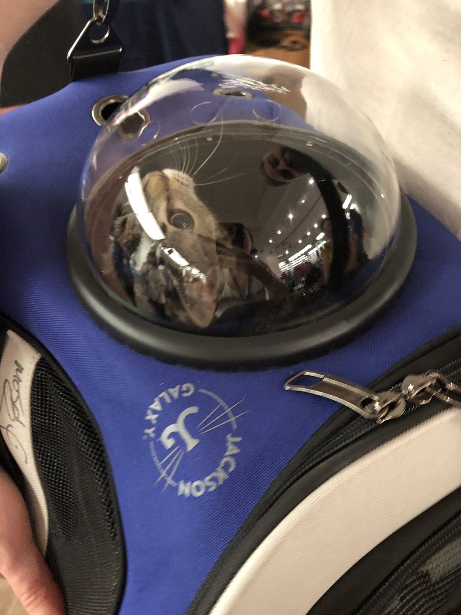 yourcatbackpack's tweet photo. At #JacksonGalaxy’s @catcampnyc to launch The Jackson Galaxy Convertible Cat Backpack designed in collaboration with @thecatdaddy himself! https://t.co/RWFQG6EoNM #yourcatbackpack 
Pre-order now! #catcampnyc — don’t delay, we’re almost sold out, #CatCamper! #teamcatmojo https://t.co/HJFwg2xFmI