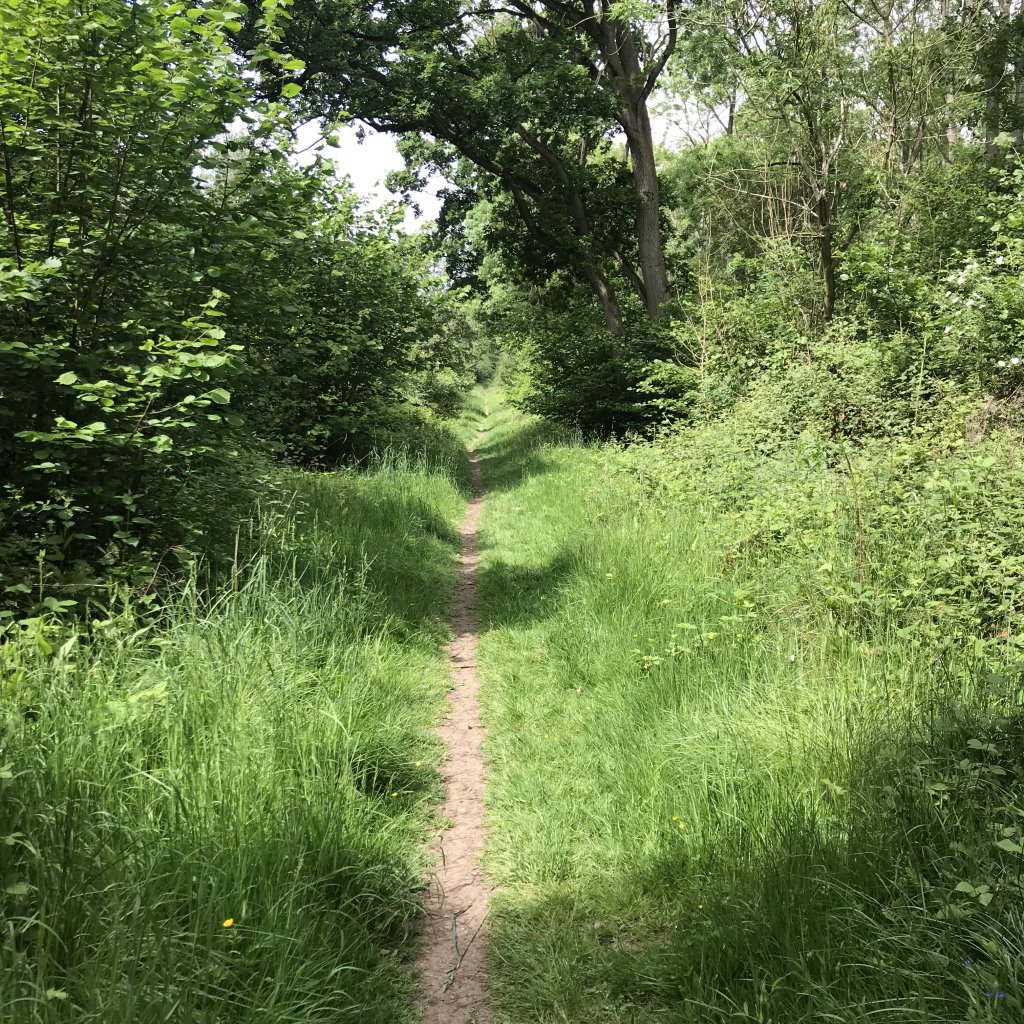 phillengthorn's tweet photo. #project365 #153 #juneathon https://t.co/WeAVQsIVMI https://t.co/nrUjXwLJ4H