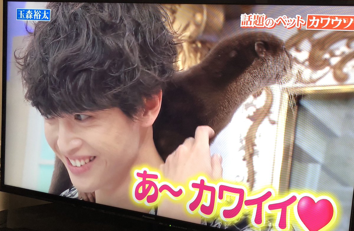 19年6月2日 行列のできる法律相談所で 玉ちゃん が話題に トレンドアットtv